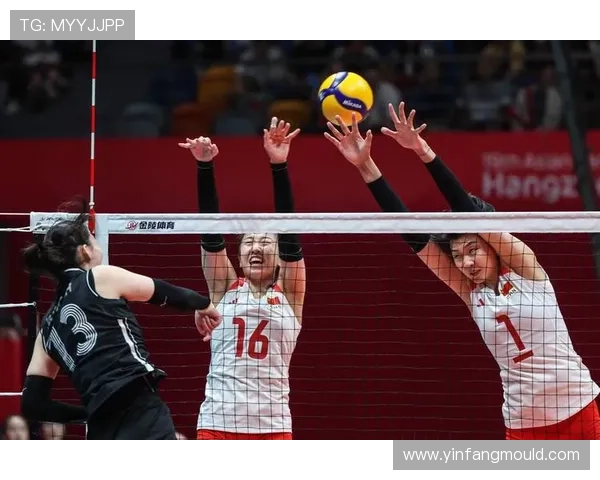 杭州排球队团队协作引发热议球迷对战术配合产生分歧